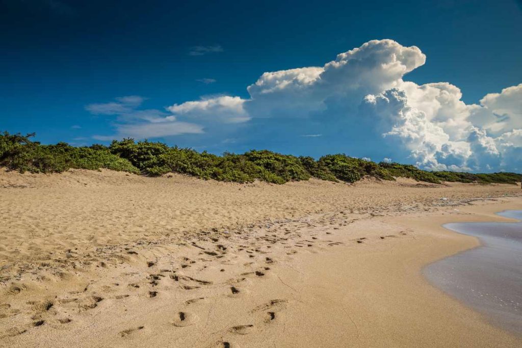 Spiaggia di Punta Prosciutto