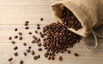 Machine à café à grain ou capsules : quel choix pour un café gourmand au quotidien ?